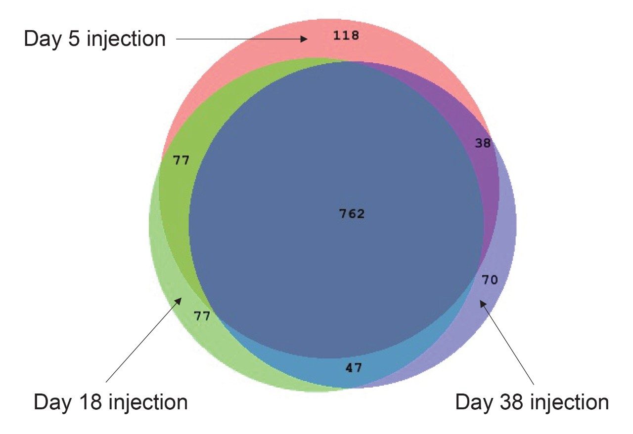  E. coli protein identifications 