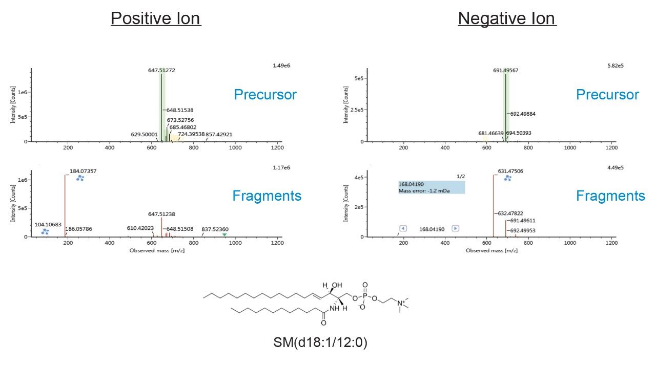 UNIFI processed data searched against the Waters Lipid Library.