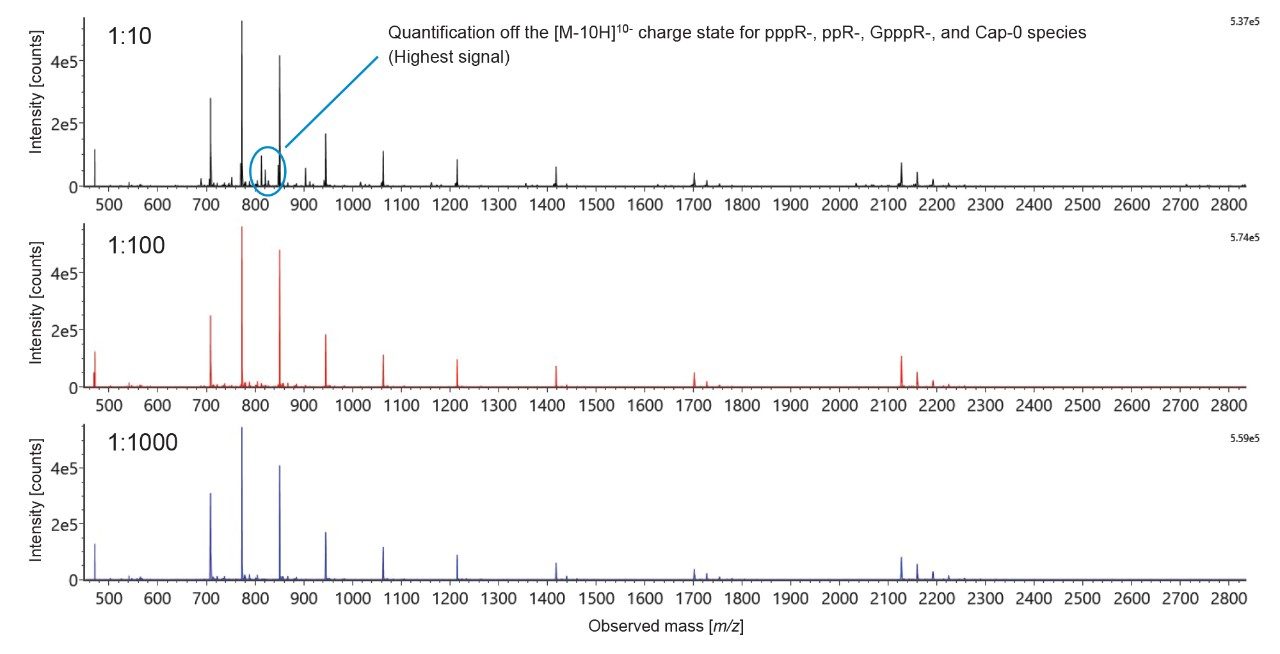 Mass spectra of Cap-1 fragment and its product related impurity fragments (pppG, ppG, GpppG, and m7GpppG, or Cap-0) obtained using an ACQUITY Premier Oligonucleotide BEH C18, 1.7 μm, 2.1 x 50 mm Column.