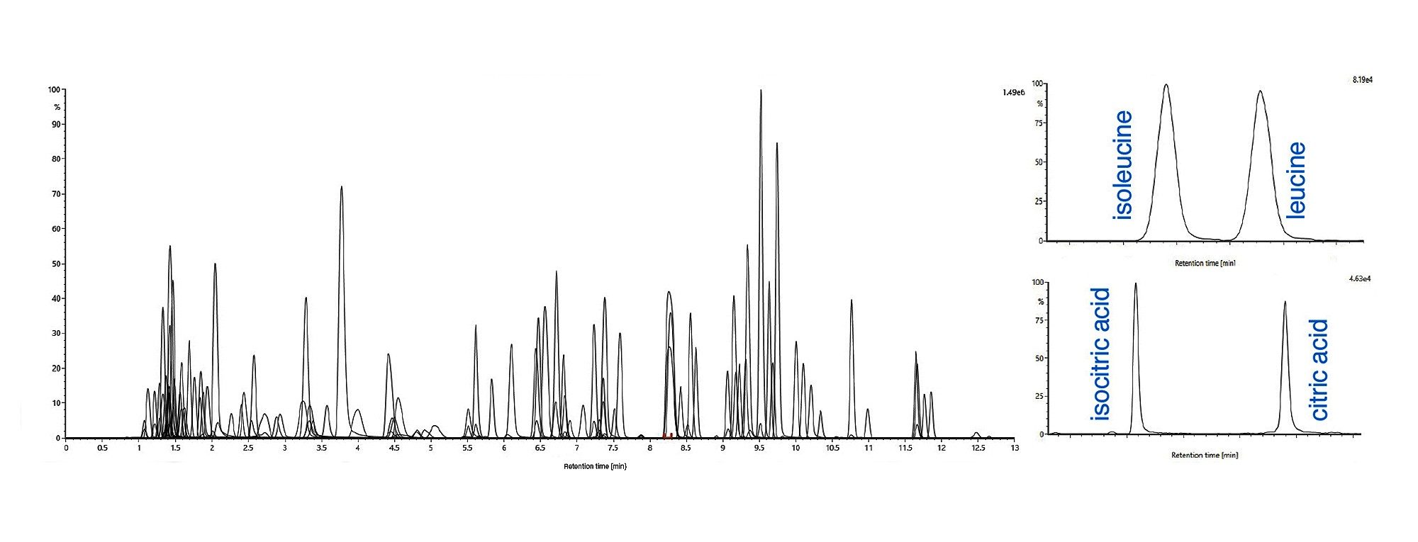 Overlaid extracted ion chromatogram (XIC) of general compound coverage, isobaric pair isoleucine/leucine, and isocritic acid/citric acid  