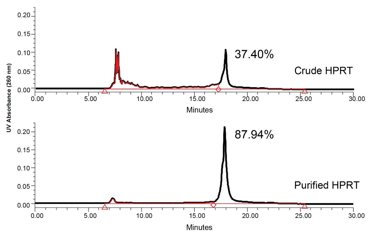 Crude and purified HPRT sgRNA for CRISPR/Cas 9 System were separated on a Waters Protein-Pak Hi Res Q Column