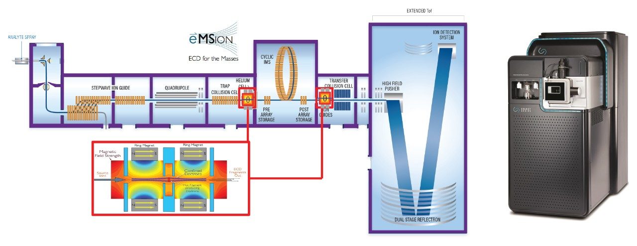 Instrument configuration of the SELECT SERIES Cyclic IMS with ECD installed either pre- or post-IMS.