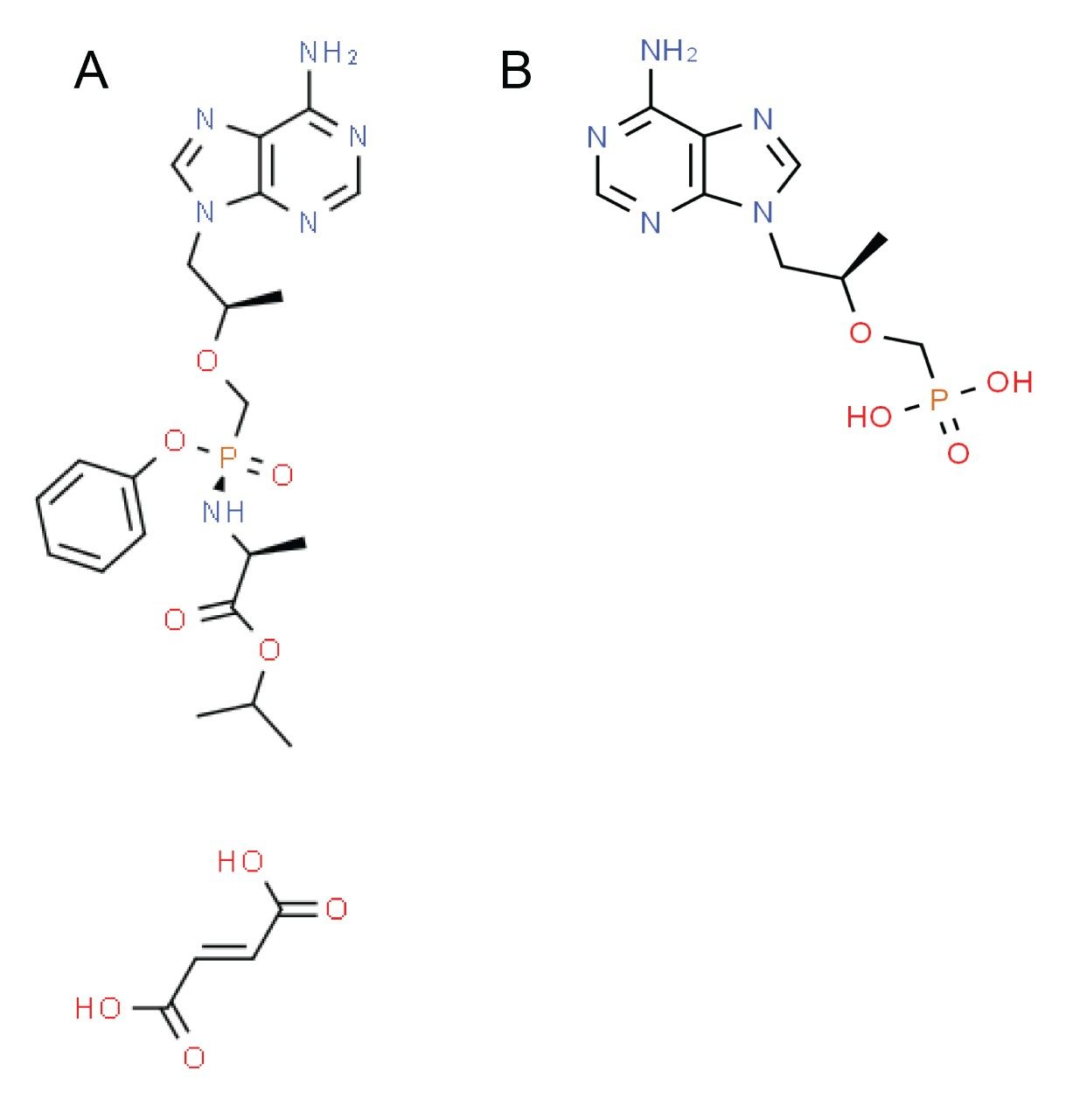 Structure of (A) prodrug Tenofovir Alafenamide Fumarate and (B) Tenofovir (7).