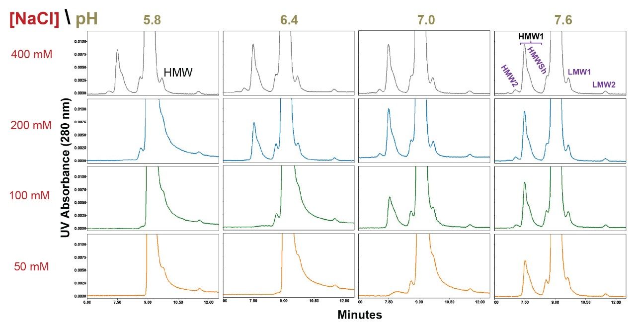 Bevacizumab drug product SEC separations using a BioResolve SEC mAb column (200Å, 2.5µm, 7.8 X 300 mm) are shown for pH values ranging from 5.8 to 7.6 (20 mM sodium phosphate) and sodium chloride (NaCl) concentrations ranging from 50 mM to 400 mM.