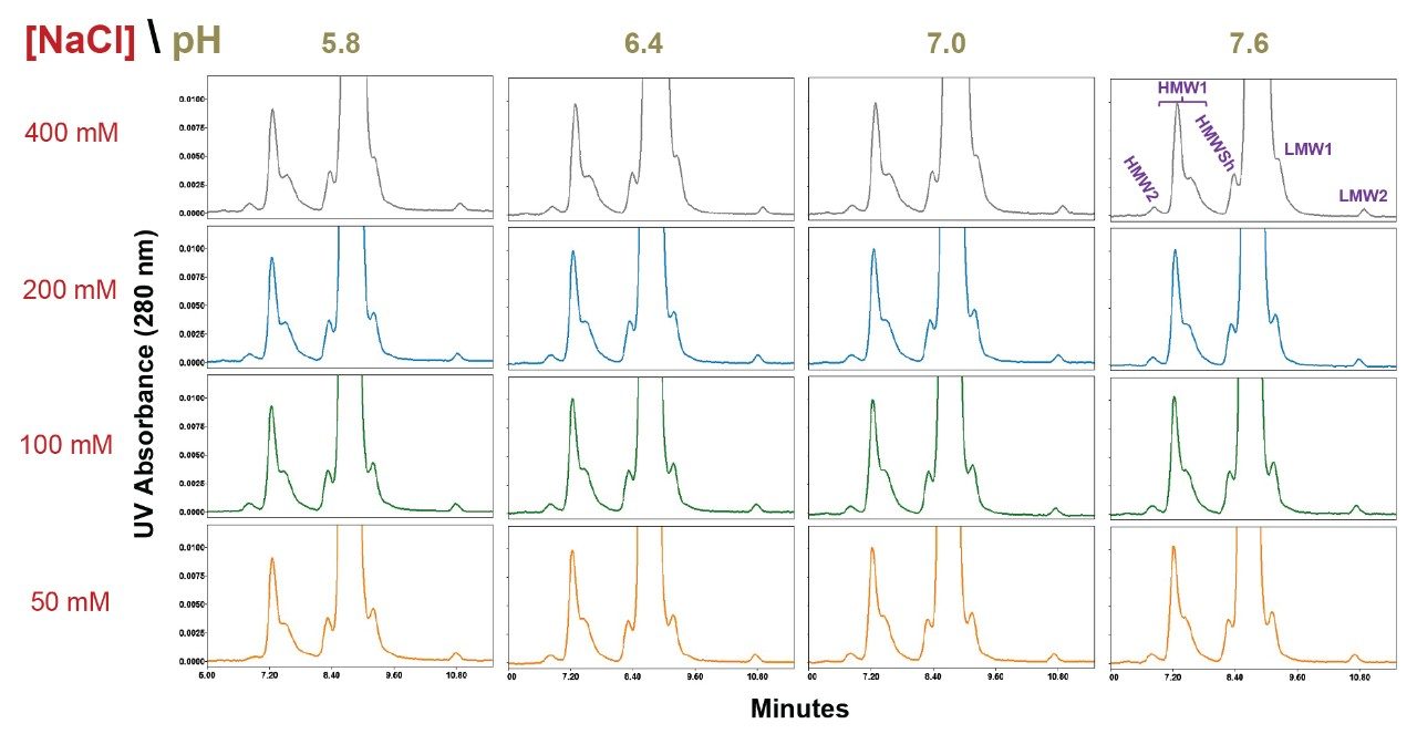 Bevacizumab drug product SEC separations using an XBridge™ Premier Protein SEC column (250Å, 2.5µm, 7.8 X 300 mm) are shown for pH values ranging from 5.8 to 7.6 (20 mM sodium phosphate) and sodium chloride (NaCl) concentrations ranging from 50 mM to 400 mM.