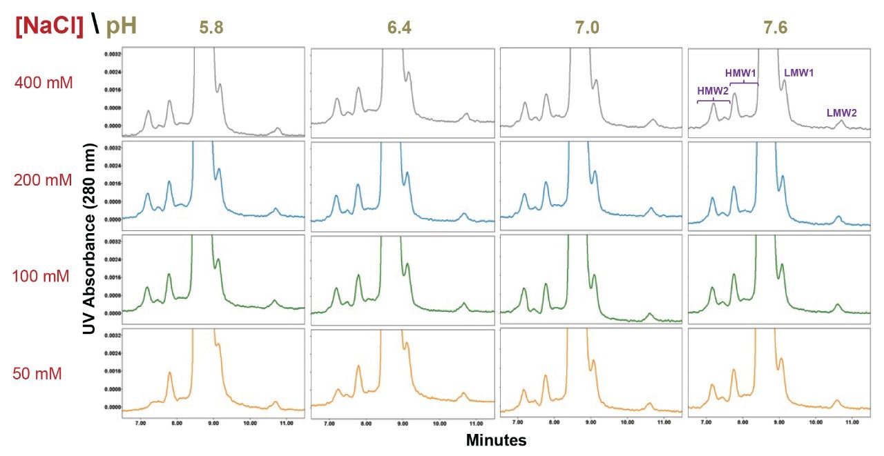  Rituximab drug product SEC separations using an XBridge™ Premier Protein SEC column (250 Å, 2.5µm, 7.8 X 300 mm) are shown for pH values ranging from 5.8 to 7.6 (20 mM sodium phosphate) and sodium chloride (NaCl) concentrations ranging from 50 mM to 400 mM.