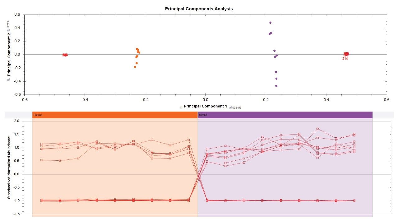 Principal components analysis (PCA) and the standardized normalized abundance plots for porcine (orange, left) and bovine (purple, right). 