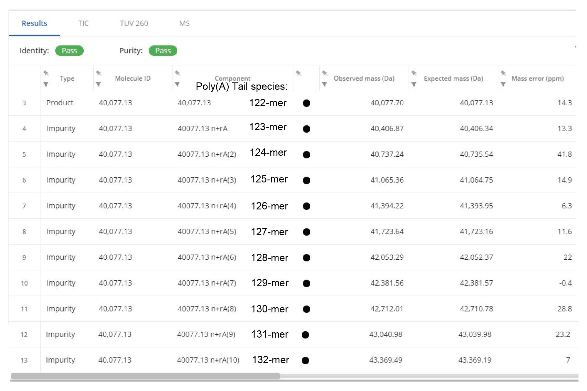 Section of the INTACT Mass App report displaying the processing results obtained for the analysis of the Fluc mRNA Poly(A) Tail