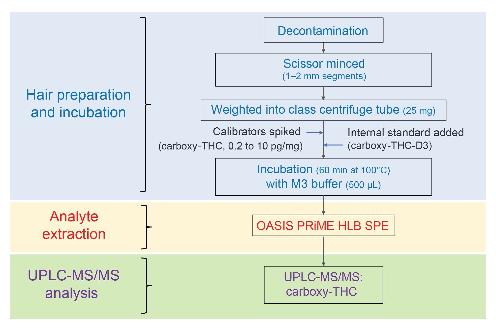 Workflow used for the determination of carboxy-THC in hair