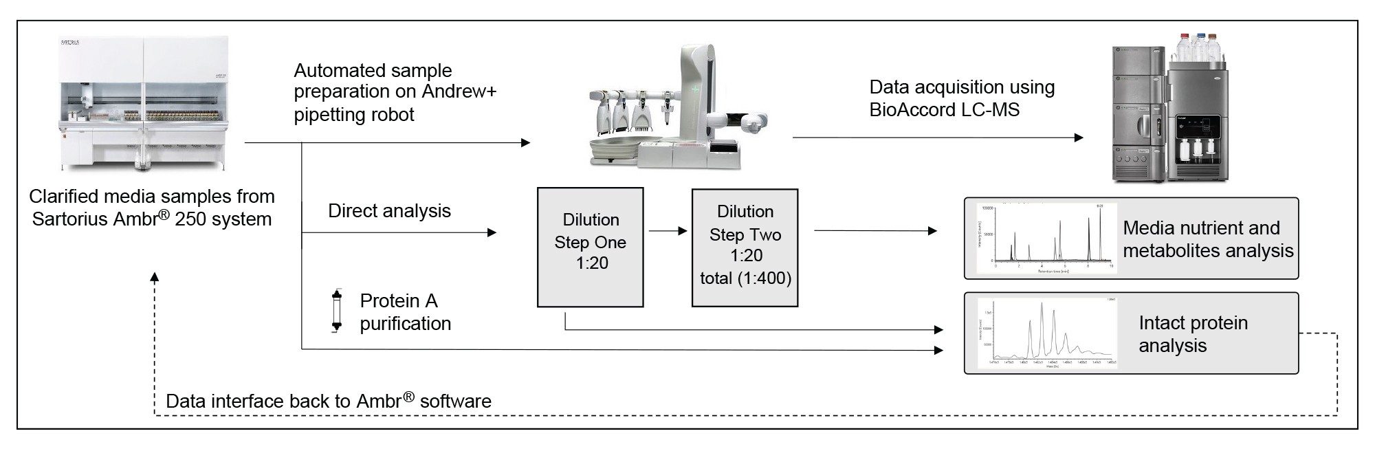 A schematic illustration of automated sample preparation and BioAccord LC-MS analysis