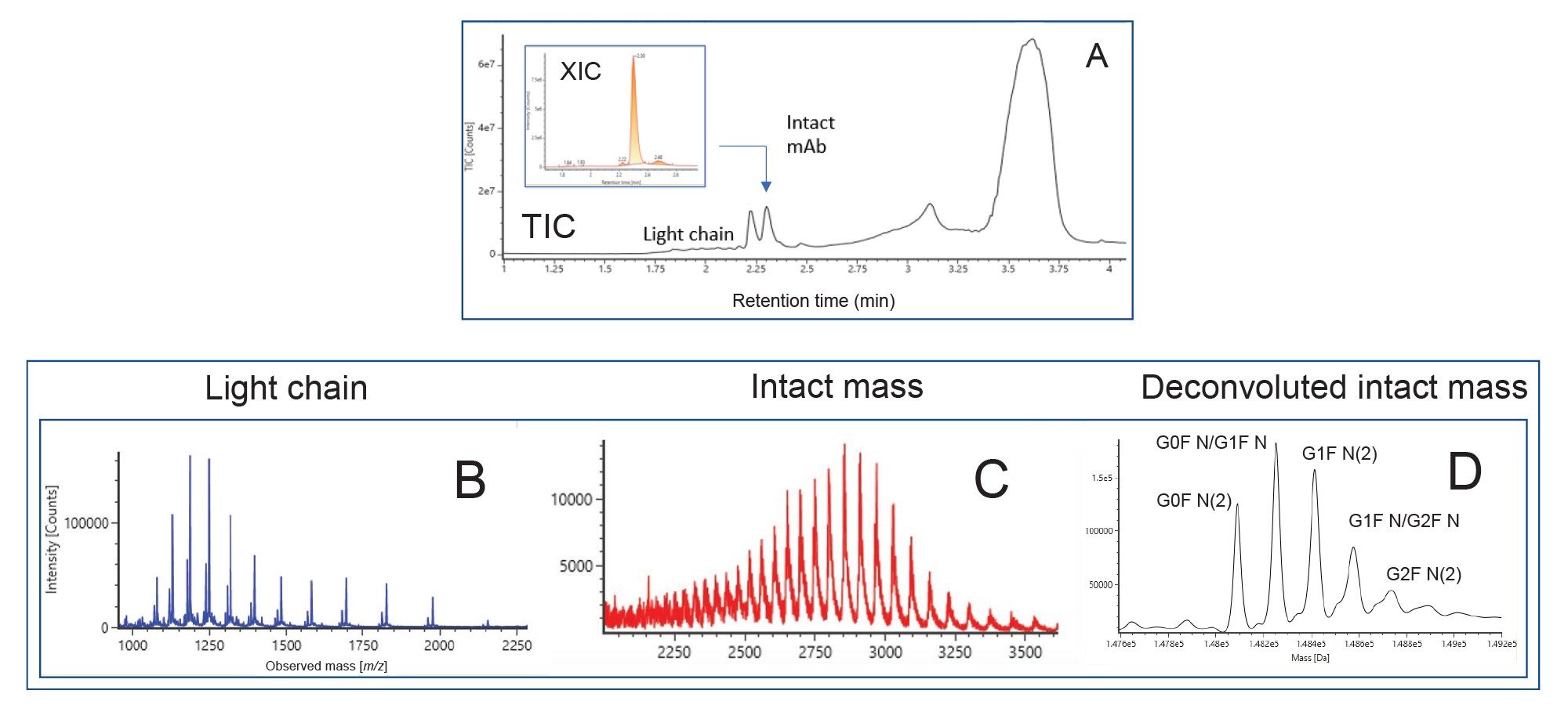 Representative MS spectrum of direct intact mass analysis