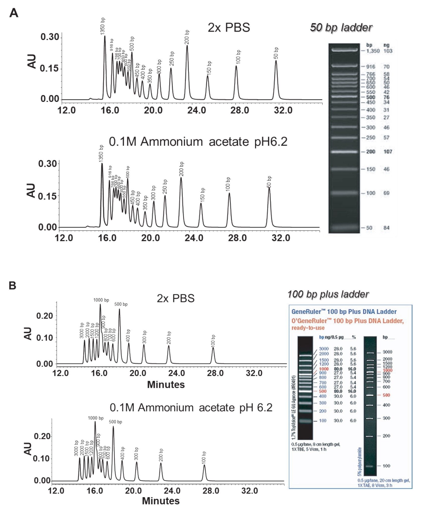  SEC-based separation of DNA ladders using an XBridge Premier GTx BEH SEC 450 Å 2.5 µm Column