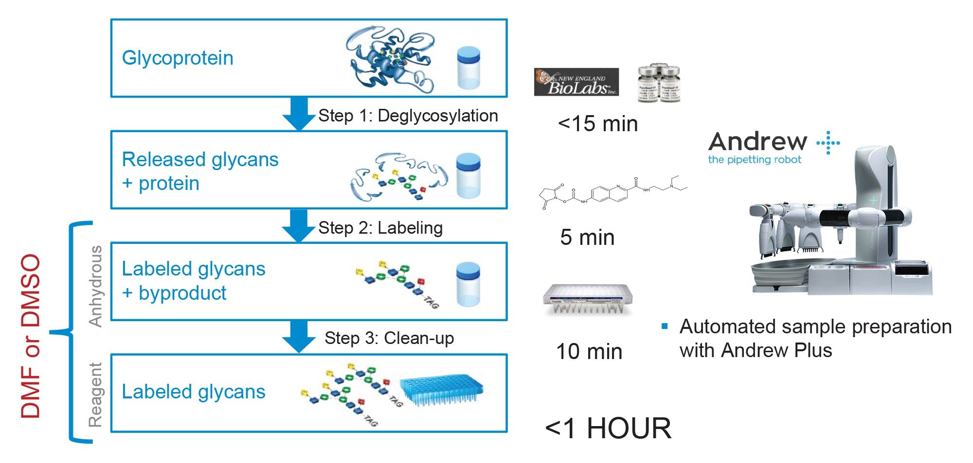 The Waters GlycoWorks RapiFluor-MS protocol is highlighted. DMF or DMSO is required as a cosolvent for the RFMS labeling step (Step 2) and as part of the sample diluent after SPE clean-up (Step 3)