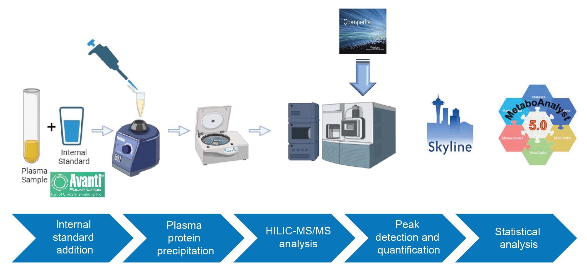 LipidQuan workflow summary