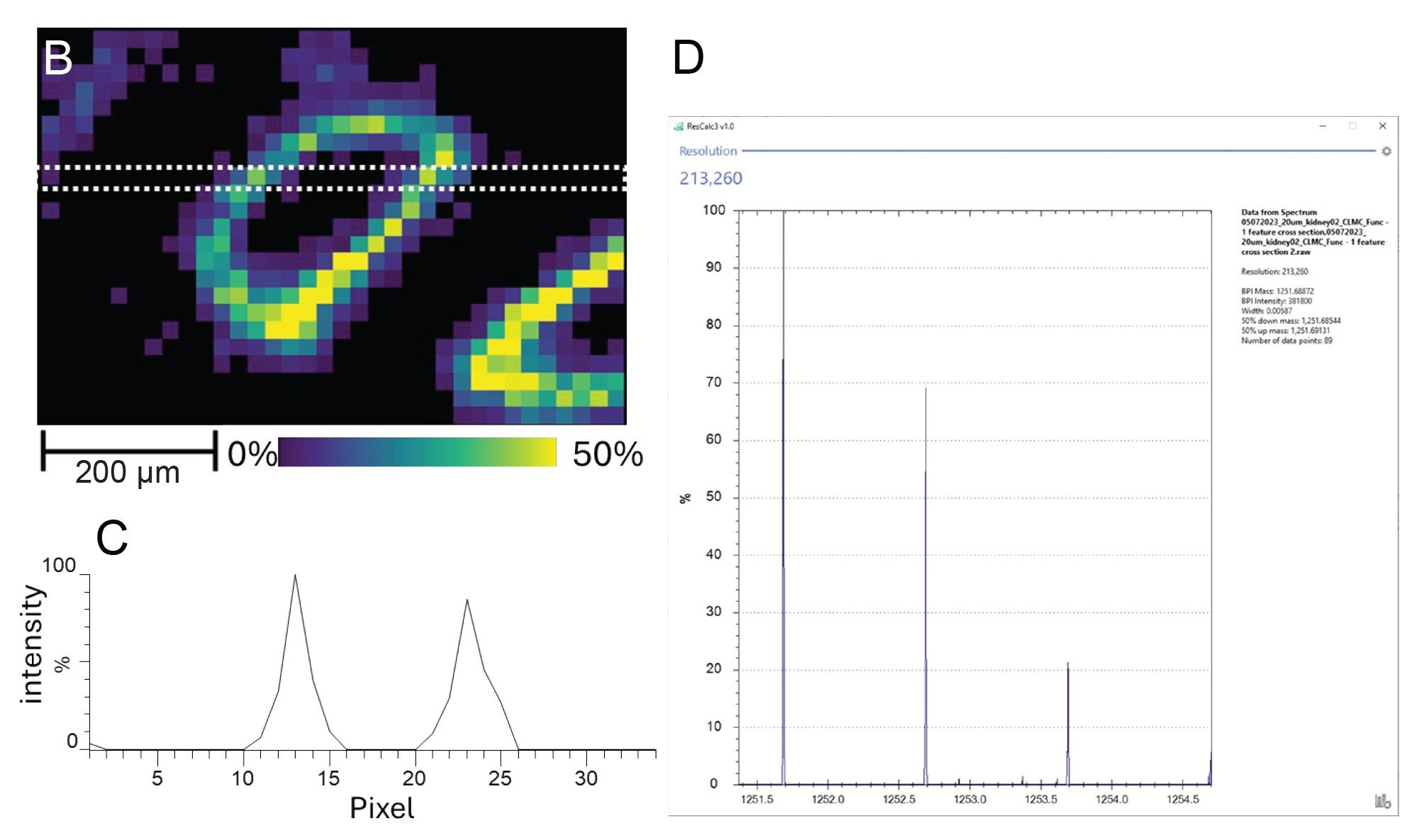 Shows the image generated from visualization of the actin-aSM tag (A), the red box indicates a blood vessel viewed cross-sectionally