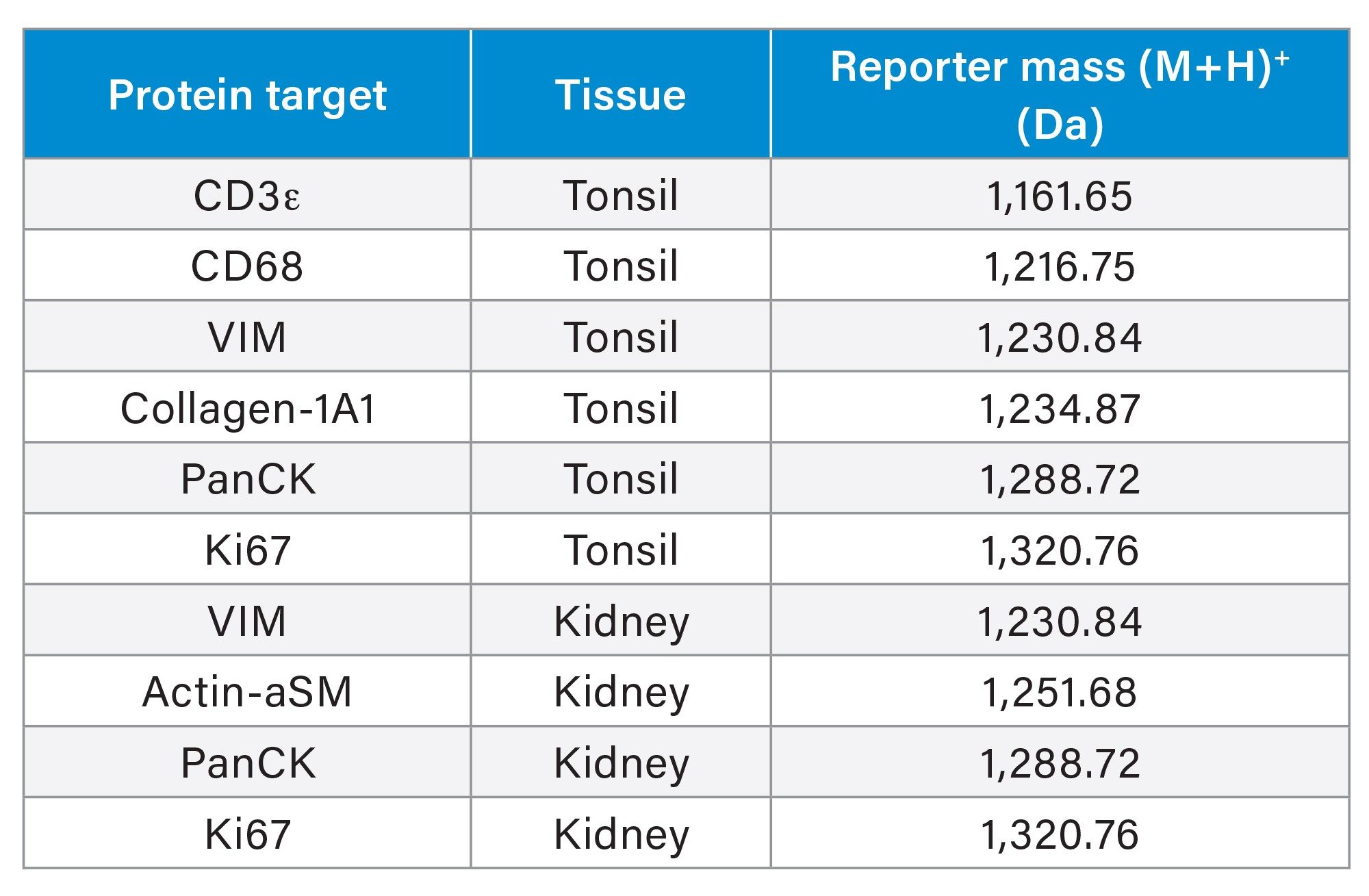 A list of the tags used within this study indicating which tissue type was labelled with each tag and the corresponding reporter mass