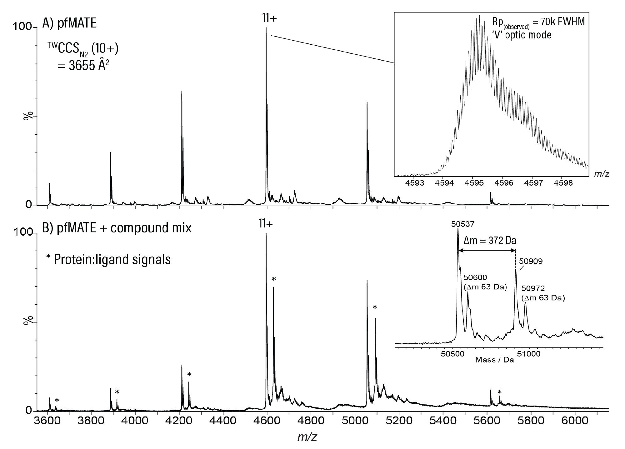 Small molecule binding to pfMATE