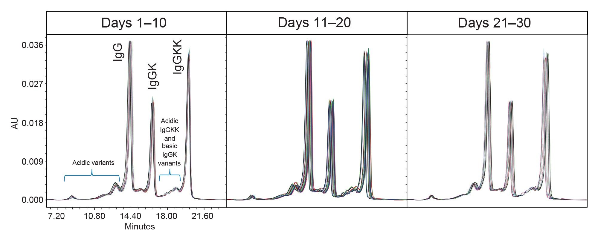 Overlayed chromatograms of Infliximab. Injections are grouped into three buckets