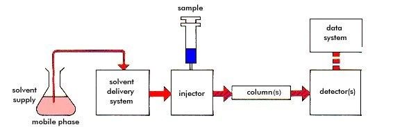 This diagram illustrates how the sample is injected into the mobile phase and the path the sample takes to the detector.