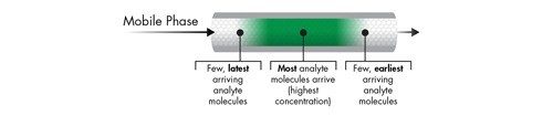 Figure 5: Concentration profile of green analyte molecules within the analyte band.