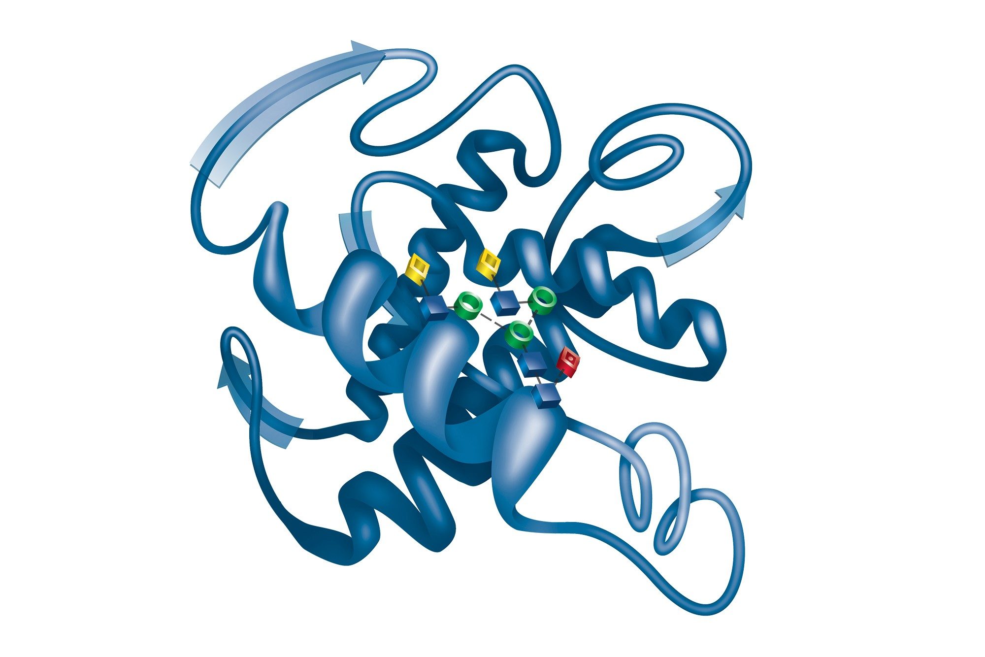 Intact Protein Analysis