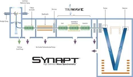 Flujo de trabajo de SYNAPT/TRIWAVE