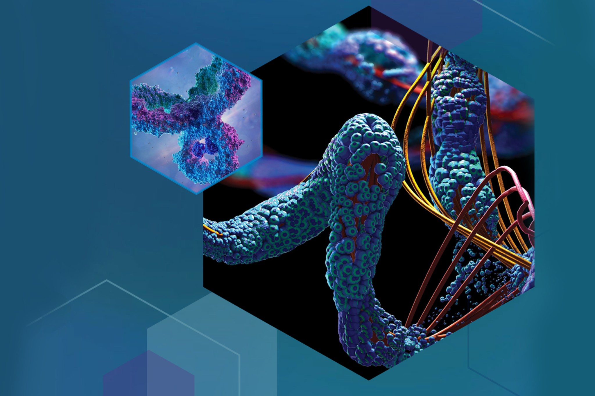 Méthodes pour l’analyse biopharmaceutique