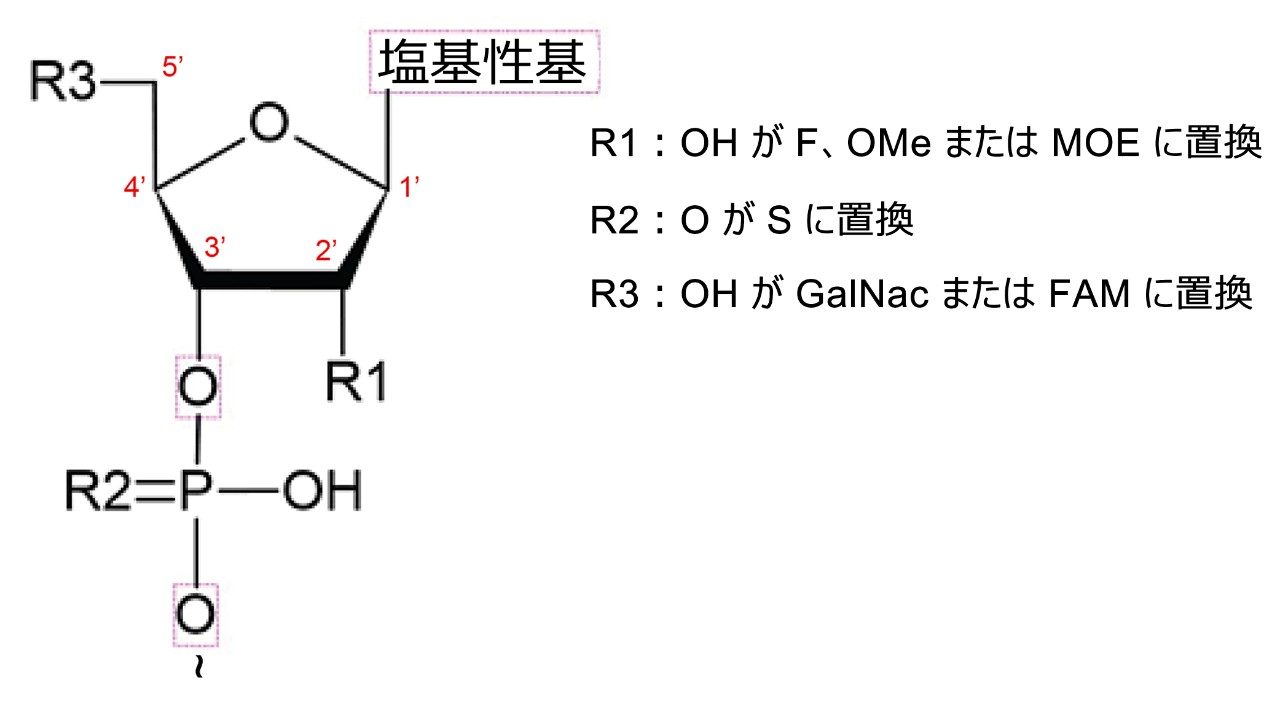 オリゴヌクレオチドの化学構造。