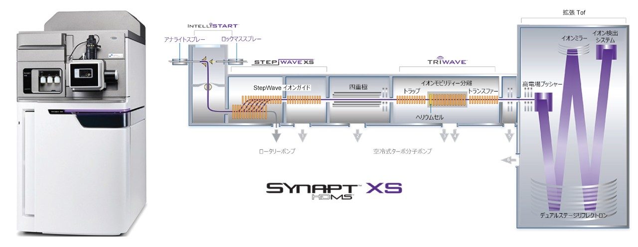 SYNAPT XS システムおよび SYNAPT XS システムの概略図