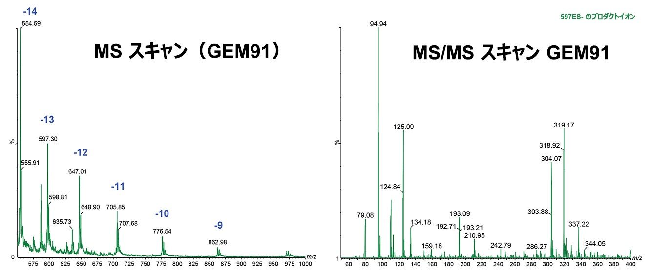 GEM91 の代表的な MS（左）スペクトルおよび MS/MS（右）スペクトル