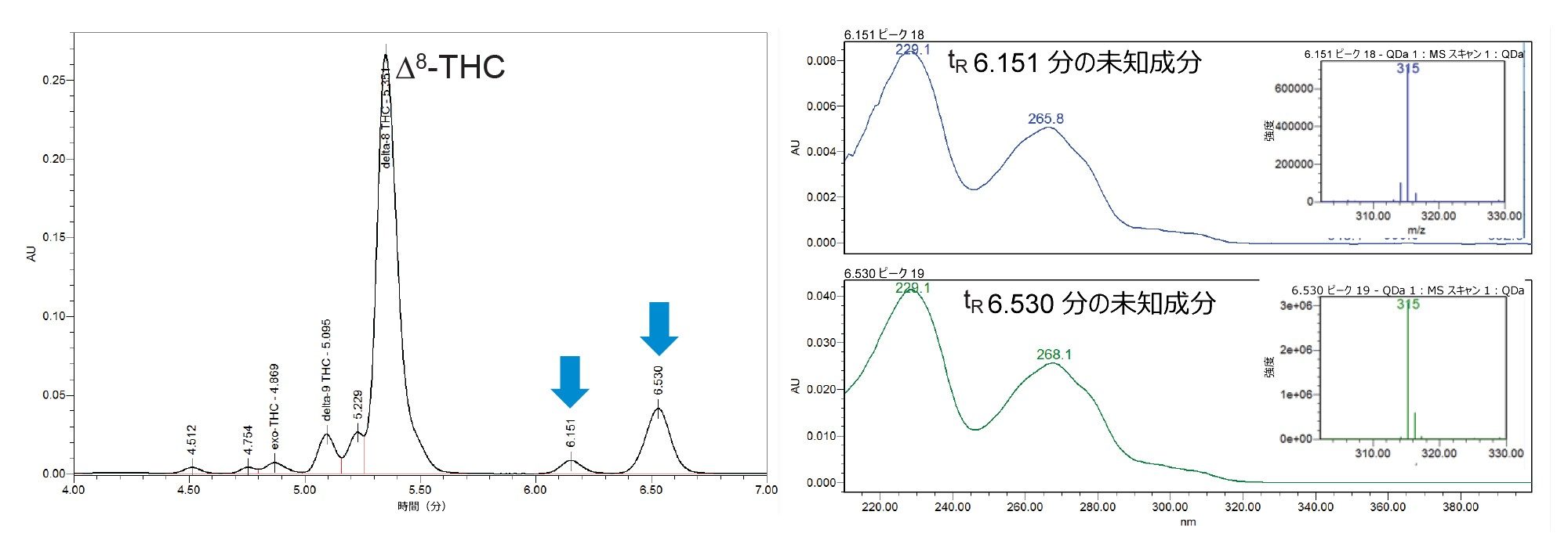 6.151 分と 6.530 分の未知成分の UV スペクトル（右）と質量スペクトル（右挿入図）の比較