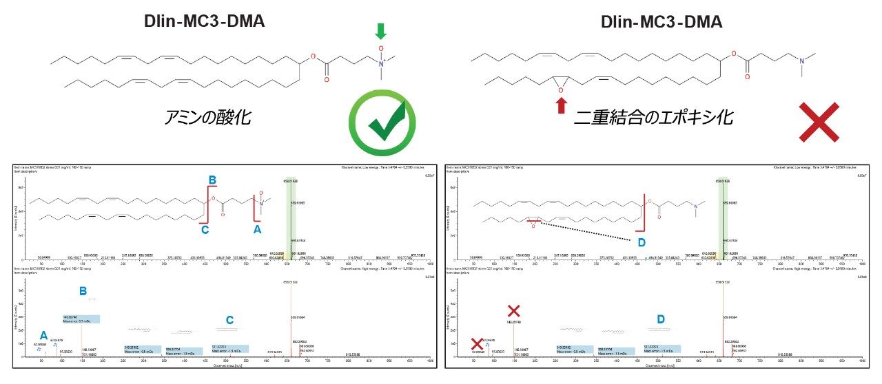 Dlin-MC3-DMA 分子における酸化部位の決定。（左）極性ヘッドグループのアミン基の酸化、および（右）脂肪酸鎖中の二重結合の 1 つにおけるエポキシ化の 2 つの構造を、可能な酸化部位と共に示します