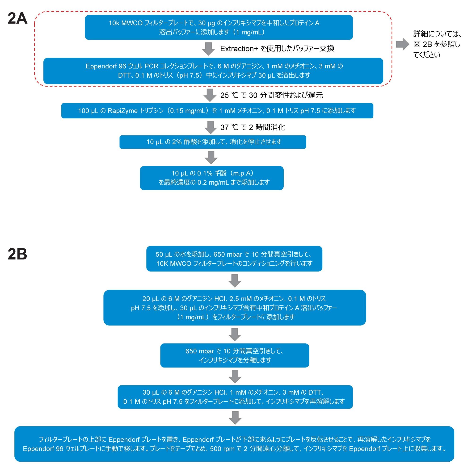  A. Andrew+ 自動化を使用した一般的な消化手順。B. バッファー交換の詳細手順。