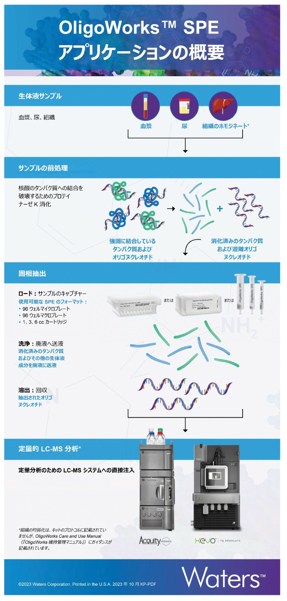 オリゴヌクレオチドのバイオアナリシス定量のためのサンプル前処理、抽出、LC-MS ワークフローの図示