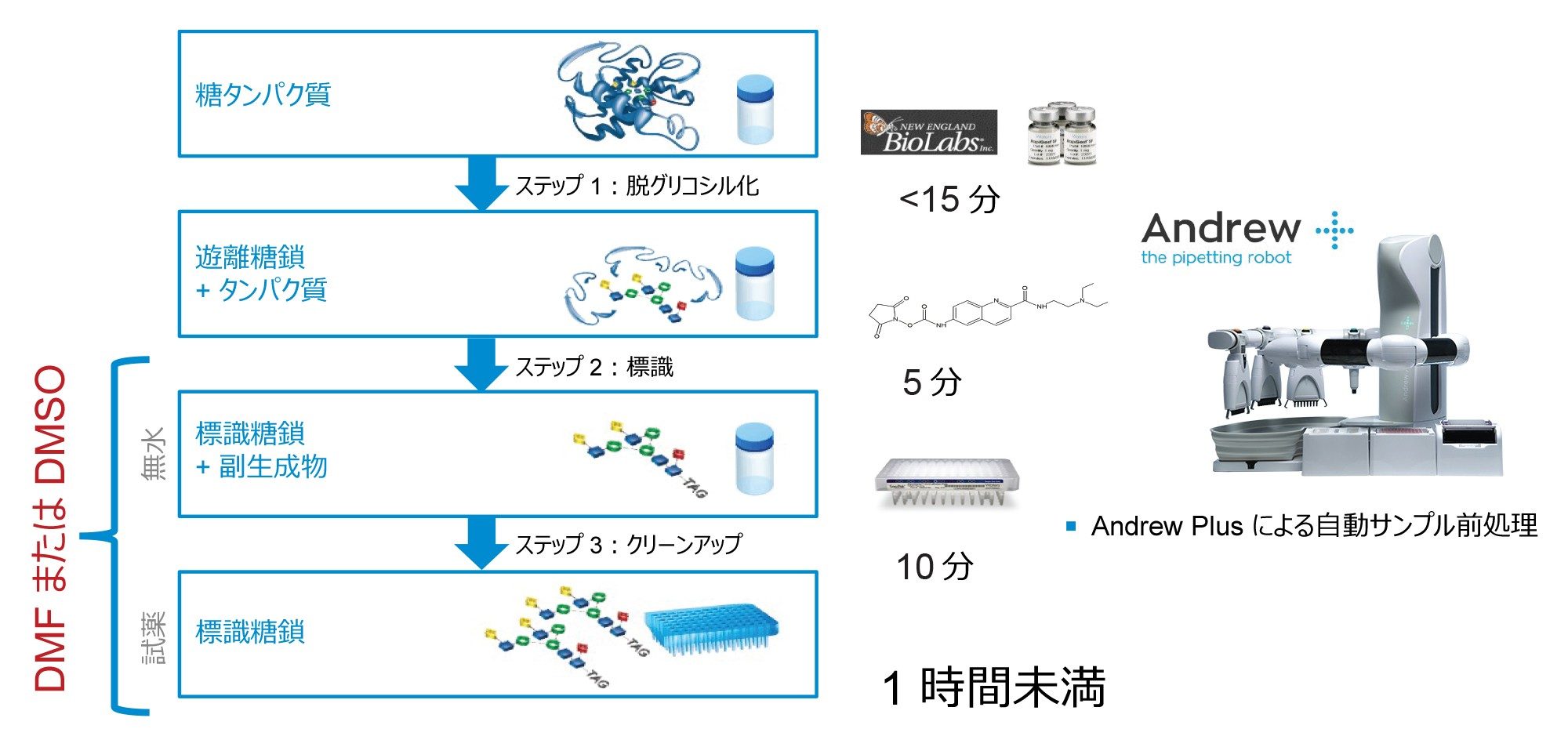 Waters GlycoWorks RapiFluor-MS プロトコルを説明しています。RFMS 標識ステップ（ステップ 2）の共溶媒として、および SPE クリーンアップ（ステップ 3）後のサンプル希釈溶媒の一部として DMF または DMSO が必要です