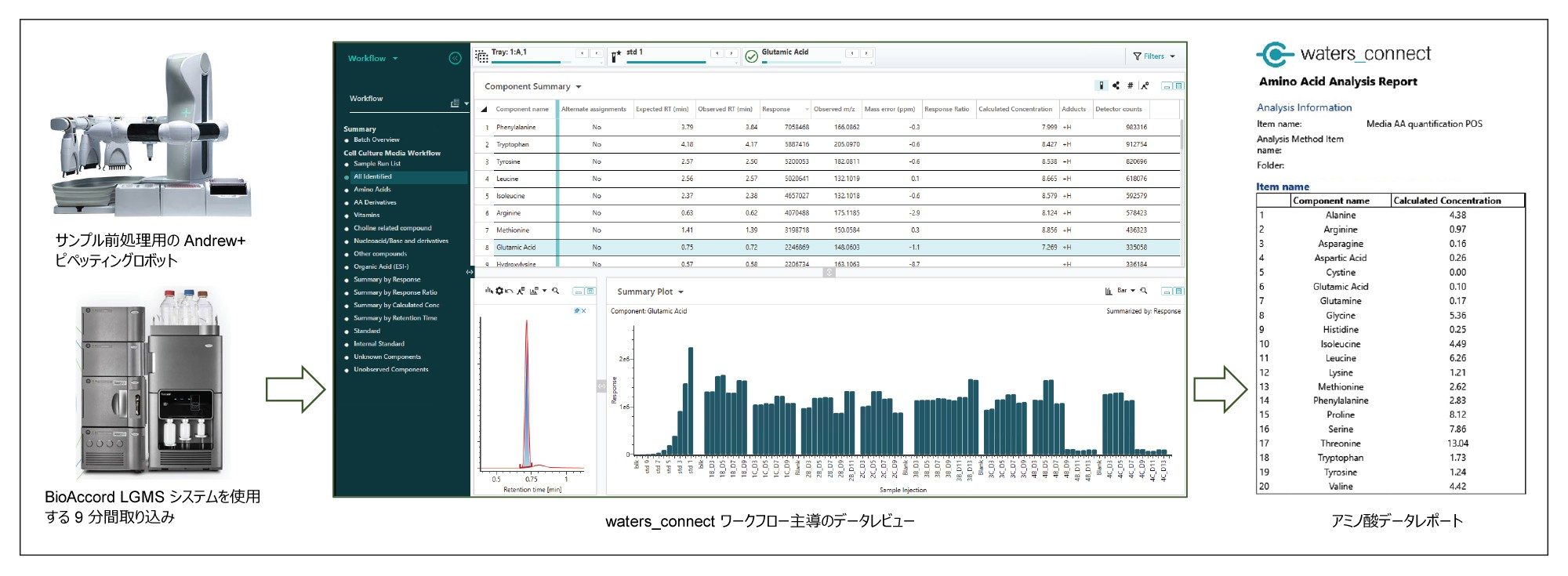 細胞培養培地のためのサンプル前処理、LC-MS 分析、レポートの概略