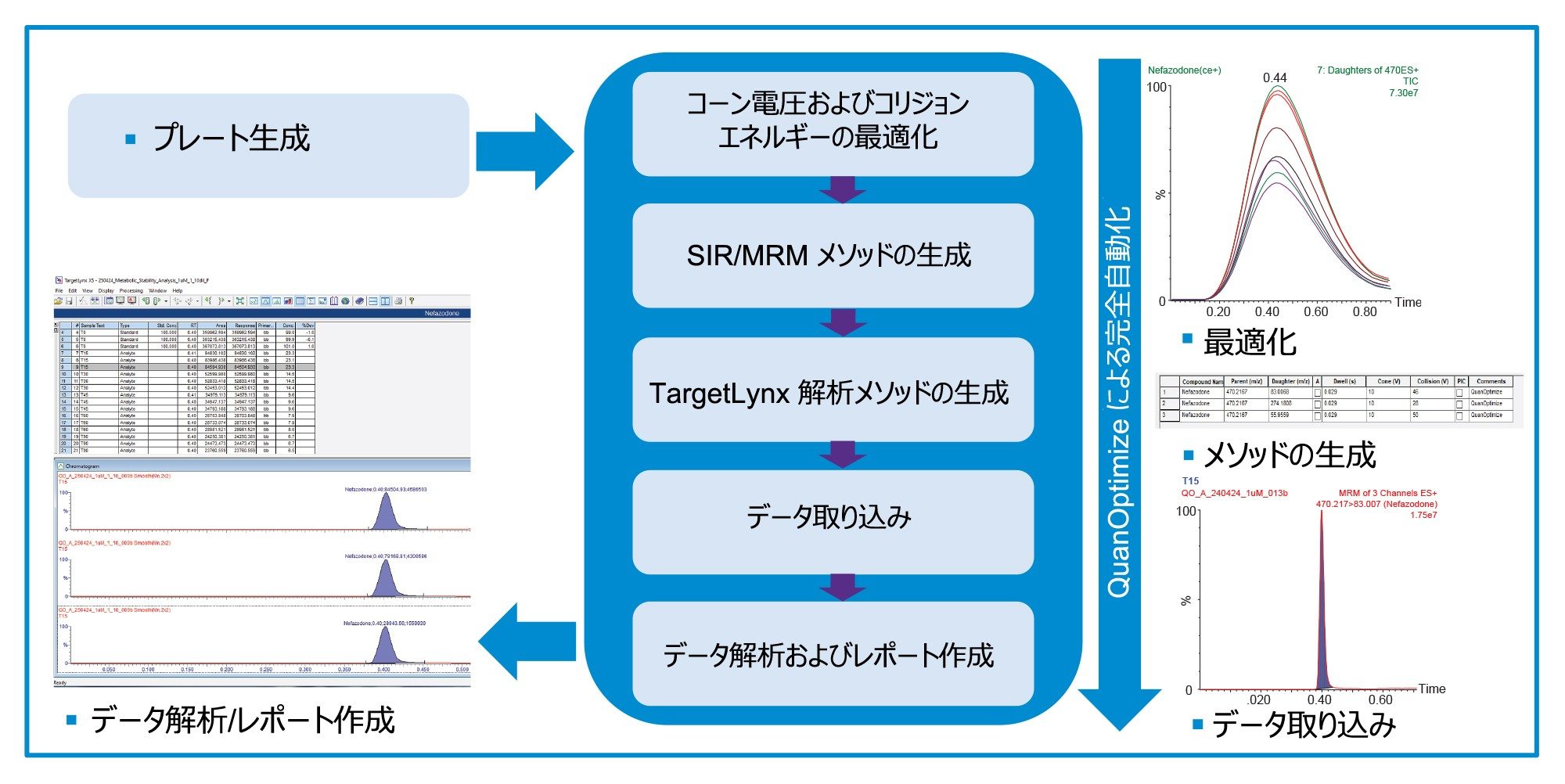 完全に自動化された QuanOptimize ワークフロー