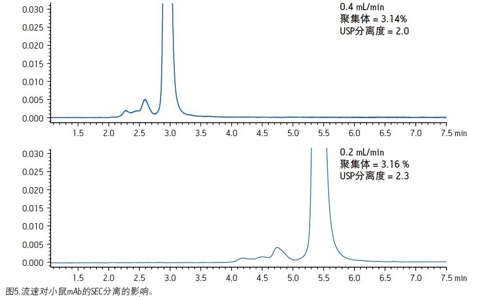 流速对小鼠mAb的SEC分离的影响。