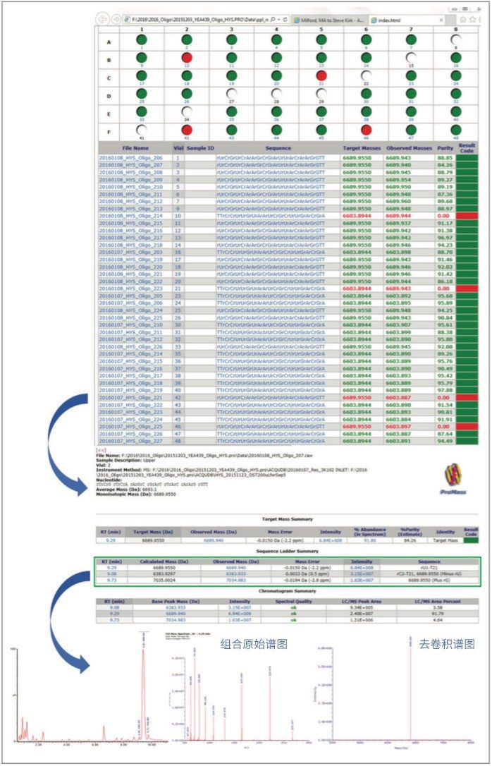 上图高度概括了使用ProMass HR和MassLynx批量处理的实验结果。图中还展示了通过内嵌的HTML超链接连续深入挖掘单个样品的结果。