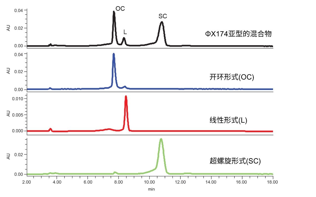 ΦX174质粒亚型在Waters Protein-Pak Hi Res Q色谱柱上的分离。