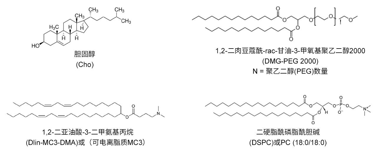 研究的四种脂质纳米颗粒成分的结构