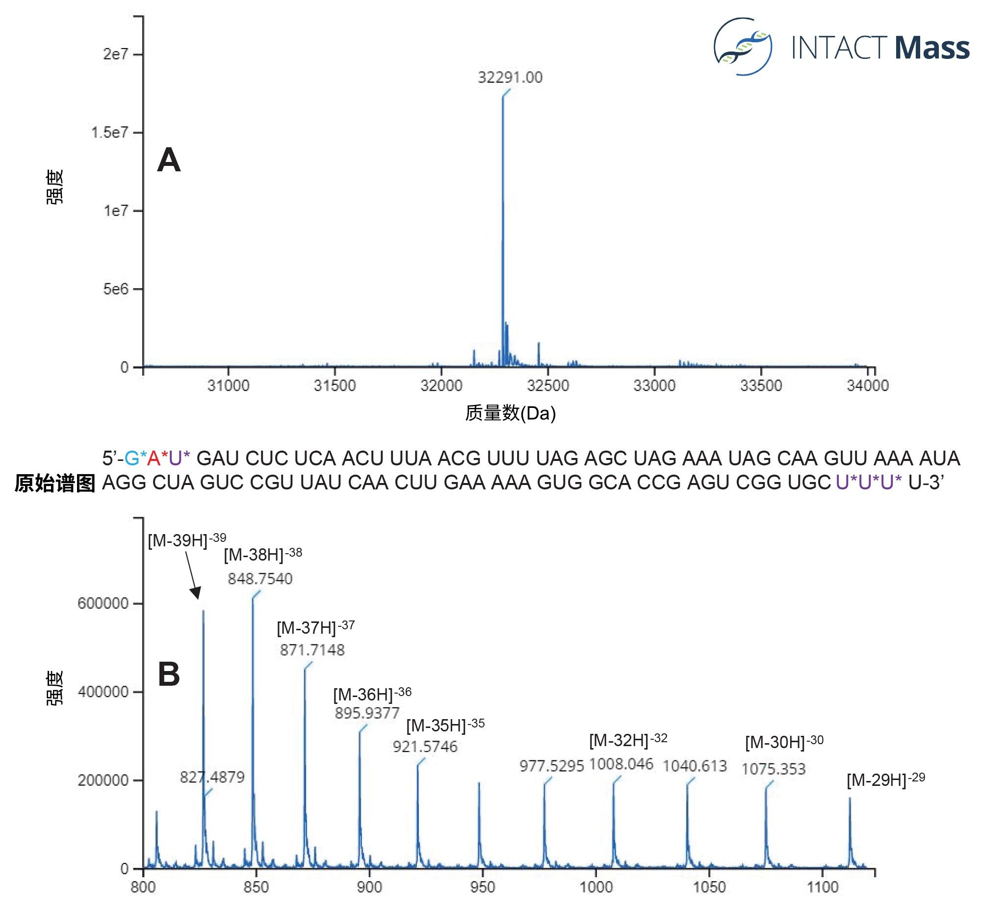  丰度最高的100 mer sgRNA寡核苷酸的INTACT Mass谱图