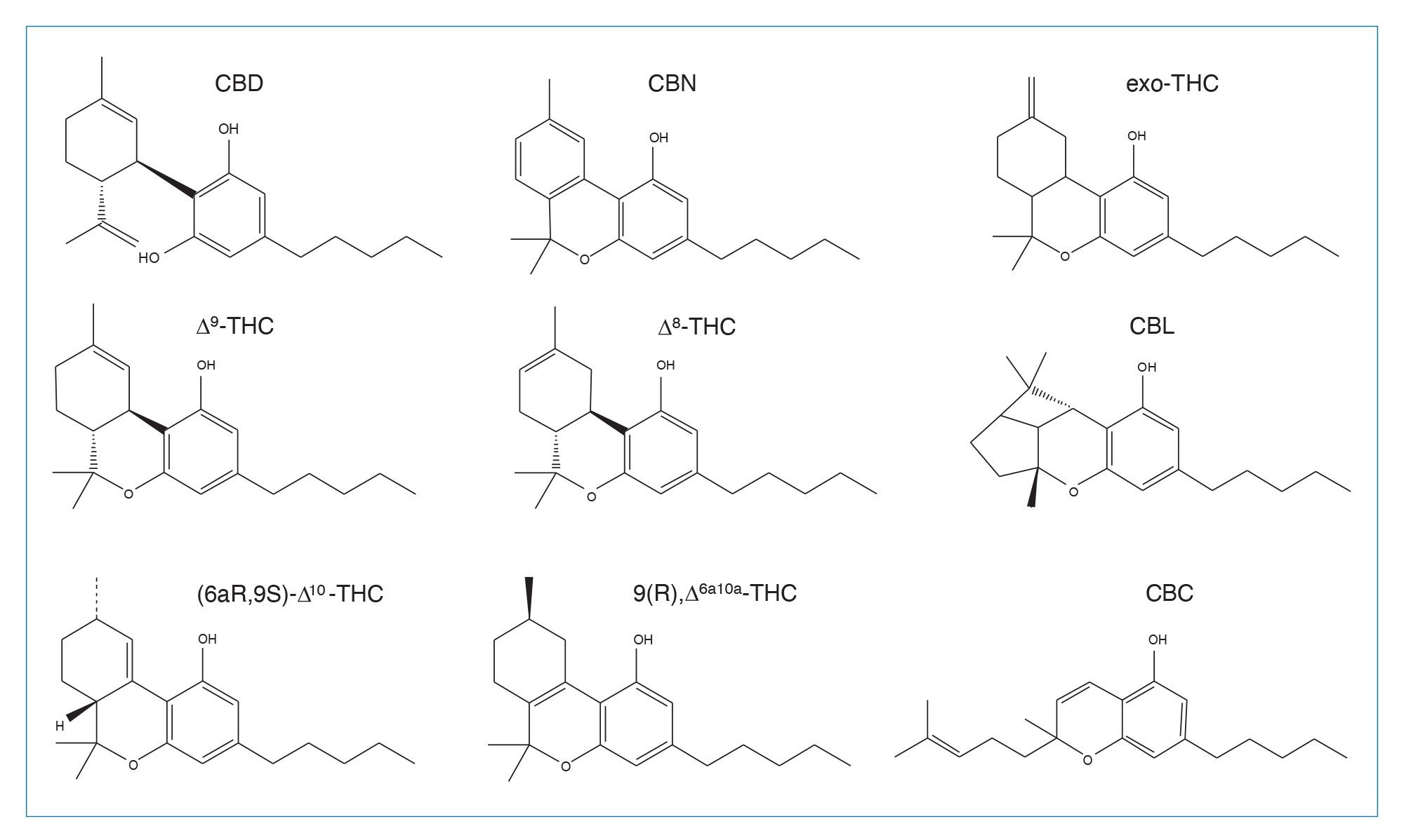 研究期间使用或鉴定的大麻素结构