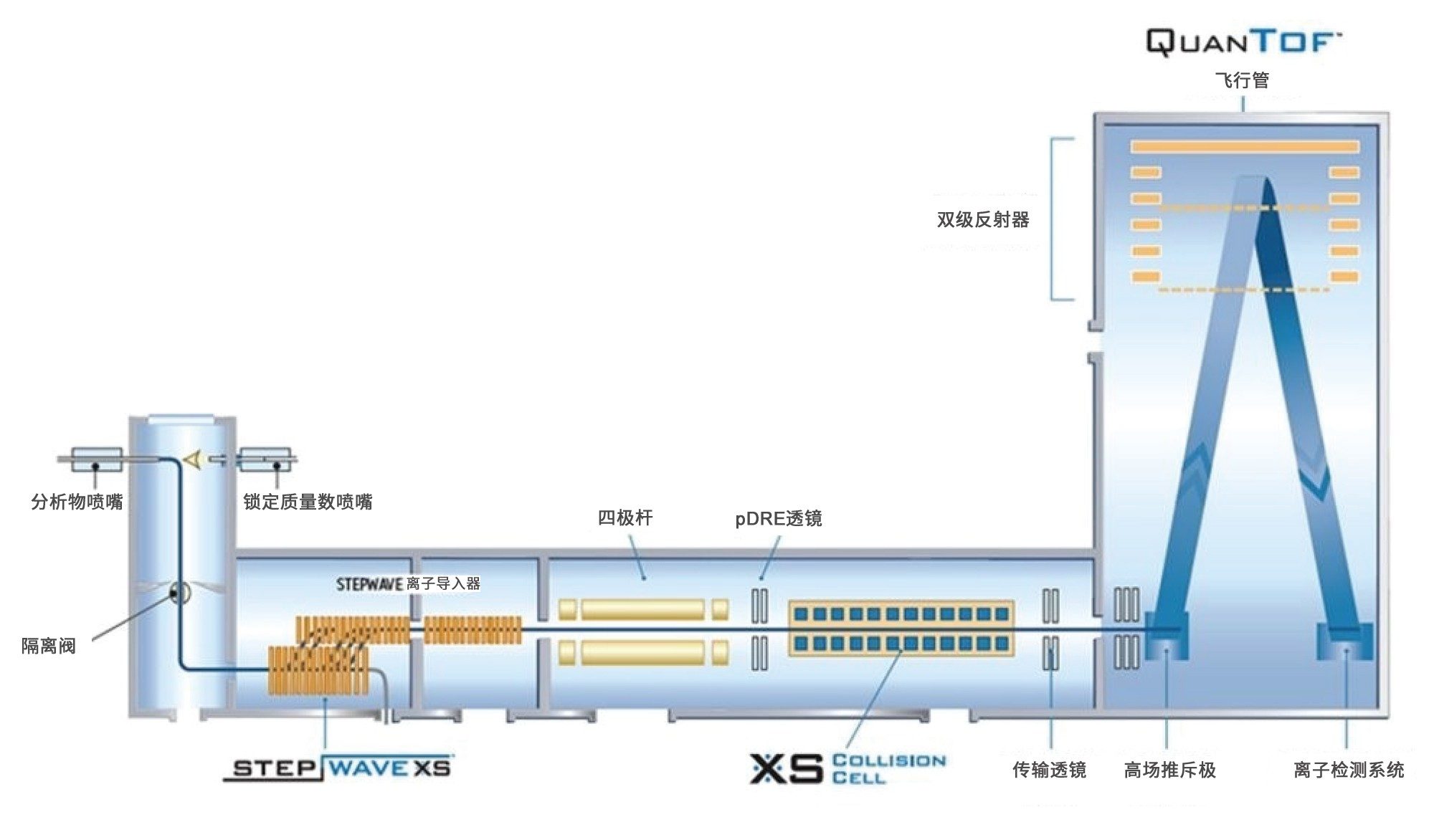 展示StepWave XS设计的Xevo G3示意图