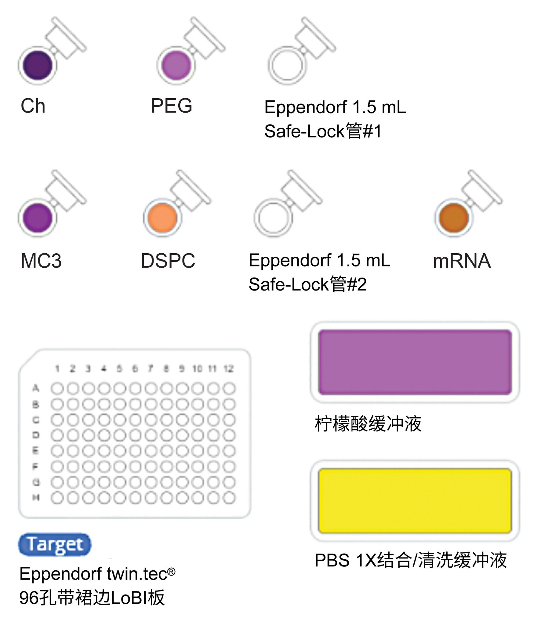 方案开始时OneLab™工作台的截图